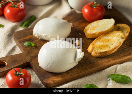 In casa italiana bianco Burrata Formaggio con pomodoro e basilico Foto Stock