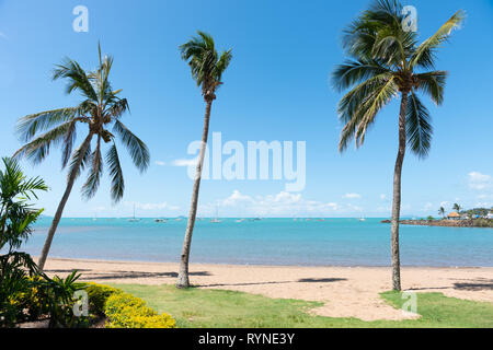 Tropical Airlie Beach, Australia, con cieli blu, blu acqua e palme Foto Stock