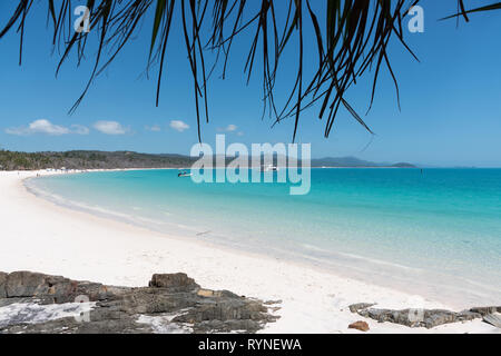 Bella spiaggia bianca e acque turchesi di Whitehaven Beach nelle Whitsundays Foto Stock