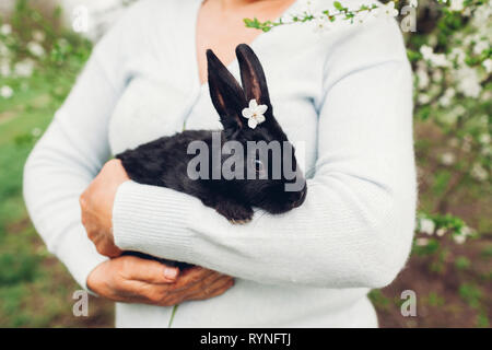 L'agricoltore che detiene il coniglio nero nella primavera del giardino. Little bunny con fiori sulla testa in seduta una donna le mani Foto Stock