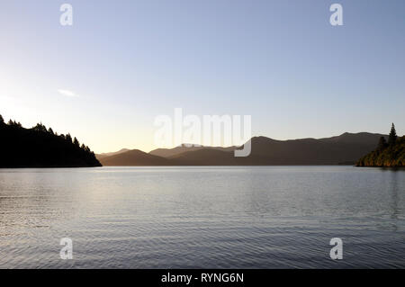 Luce della Sera a Double Bay Cove nel Marlborough Sounds della Nuova Zelanda. Il Cove è spento di Queen Charlotte Sound, il principale canale di spedizione. Foto Stock