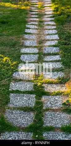 Istanbul Park. Percorso di piastrelle su un prato verde. Foto Stock