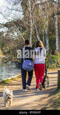 Famiglia su di una passeggiata nel parco. padre, MOM e il loro bambino in un passeggino. Famiglia a piedi lungo il sentiero nel parco, un cane corre da. Foto Stock