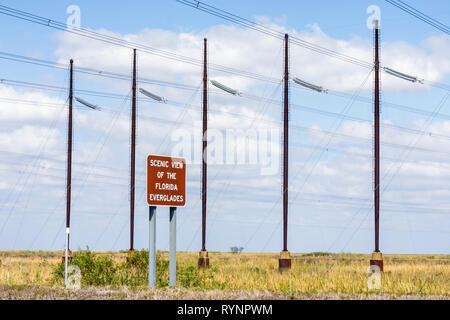 Florida Collier County, Everglades, Big Cypress National Preserve, Alligator Alley, Interstate 75, seghe erba, cartello, vista panoramica, pali pubblici, fili, crisscros Foto Stock