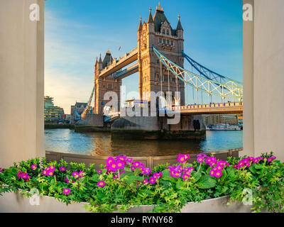 Famoso punto di riferimento di Londra, il Tower Bridge, vista attraverso una finestra circondata da fiori in Inghilterra - UK Foto Stock