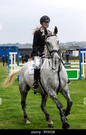 Close up show femmina ponticello montato su un cavallo grigio con recinto in background Foto Stock