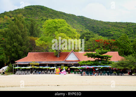 Si tratta di un ristorante in ko un isola ed è possibile la struttura ad albero attraverso il tetto, che è ciò che rende speciale ristorante Foto Stock