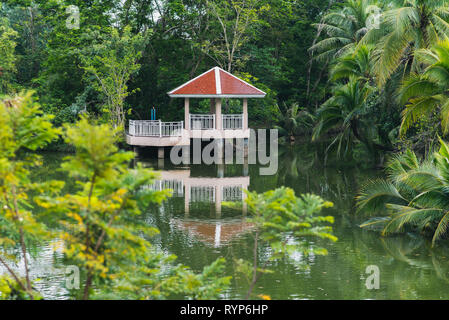 Bang Krachao, Bangkok il polmone verde. Un padiglione presso il lago in Sri Nakhon Khuean Khan Parco e Giardino Botanico. Una vegetazione lussureggiante, alberi di noce di cocco. Foto Stock