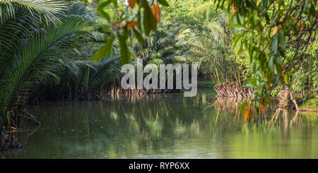 Palme Nipa' canneti lungo un lago in Sri Nakhon Khuean Khan Parco e Giardino Botanico in Krachao Bang Kachao (), Bangkok, Thailandia. Foto Stock