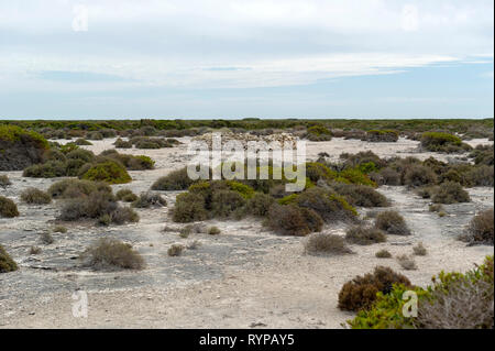 L entroterra fort su West Wallabi isola fu costruito dal soldato olandese Wiebbe Hayes e altri sopravvissuti al naufragio di Batavia nel 1629, è l'o Foto Stock