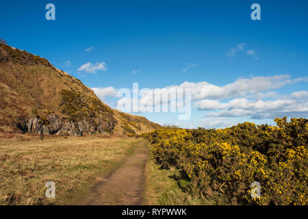 San Ciro Riserva Naturale Nazionale, Aberdeenshire, Scozia. Foto Stock