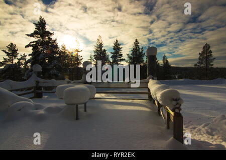 Una terrazza sotto una neve pesante con la foresta dietro in diretta nel sole pomeridiano sul parzialmente nuvoloso giorno in Lapponia settentrionale. Laanihovi vicino a Saariselka, Finlandia. Foto Stock