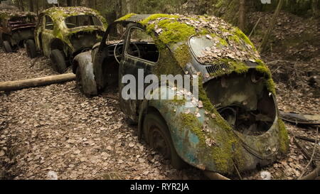 Una fila di auto d'epoca coperto da muschi e foglie di autunno in scrapyard in foreste svedesi. Bastnas. Foto Stock