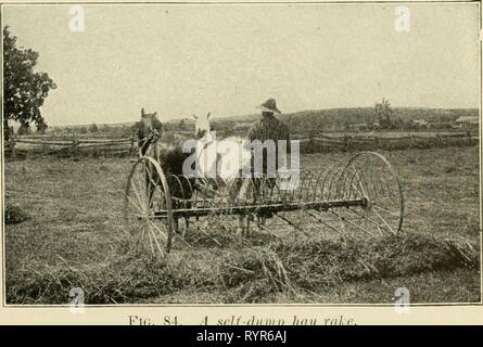 Agricoltura elementari (1915) elementare agricoltura . elementaryagricu00nida Anno: 1915 il fieno CEOP 159 girato con l'aratro presentano guadagni nelle colture che seguono, a causa della quantità extra di azoto a sinistra dietro. Il trifoglio rende un ideale il fieno per il bestiame e la posizione in cui è sollevata, si dovrebbe fare fino a metà o più della crusca di le mucche da latte. Gli ovini e i giovani stock per rendere eccellente la crescita su fieno trifoglio o il pascolo di trifoglio. Come ottenere un cavalletto. Dove il suolo è stato consumato da molti raccolti viene prelevato e nessun alimento vegetale o humus rimettere, trifoglio rosso non crescono spesso. Al fine di portare tali reti LAN Foto Stock