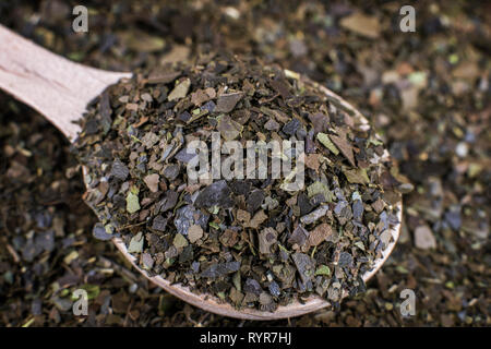 Ayahuasca Guayusa asciugi foglie di tè in cucchiaio di legno. Macro shot. Profondità di campo. Foto Stock