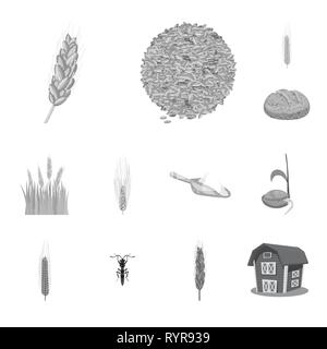 Molla,pane,l'orzo,farina,seme,volare,granaio,spike,semi,l'inverno,pasto,crescere,insetti,costruzione,crusca,cornfield,sano,campagna,crop,la germinazione,insetticida,cereali,capannone,golden,paglia,pane,autunno,mature,segala,impianto,frumento, mais,grano raccolto,,agriturismo,campo,l'agricoltura,agricoltura,impostare,vettore,icona,immagine,isolato,raccolta,design,l'elemento,graphic,segno,mono,grigio vettori vettore , Illustrazione Vettoriale