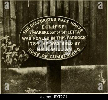 Eclipse & OKelly essendo Eclipse & OKelly : essendo una storia completa così lontano come è noto di che ha celebrato l'inglese purosangue Eclipse (1764-1789), del suo allevatore il duca di Cumberland e dei suoi successivi proprietari William Wildman, Dennis OKelly & Andrew OKelly, ora per la prima volta esposto dall'autorità originale & famiglia memorandum . eclipseokellyb00cook Anno: 1907 MAKSKE, sire di eclipse da incisione di &lt;•'. /•'. Stubbs nel British Museum dopo la pittura di G. Stubbs piastra ECLIPSE REGISTRAZIONE DELLA NASCITA DI IMPOSTARE in Windsor Great Park di H.li.Il. Il principe cristiano di Schles Foto Stock