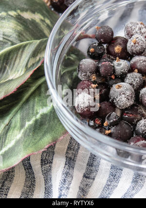 Bacche di ribes surgelati in una ciotola di vetro. Il ghiaccio sulle bacche. Bacche scure nel ghiaccio. Foto Stock