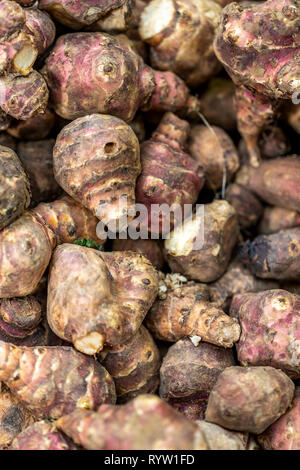 Carciofi in vendita. Il famoso Mercato di Borough, un nuovo mercato alimentare di vendita di tutti i tipi di frutta e verdura, pesce e carne. Londra Foto Stock