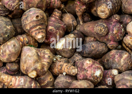 Carciofi in vendita. Il famoso Mercato di Borough, un nuovo mercato alimentare di vendita di tutti i tipi di frutta e verdura, pesce e carne. Londra Foto Stock