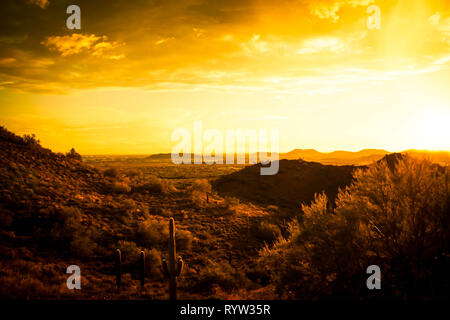 Il sole che tramonta nel deserto del sud-ovest americano con montagne e cactus Saguaro nel cielo drammatico in toni caldi. Foto Stock