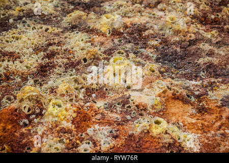 Molle colorate di acido in Dallol, Danakil depressione, Etiopia, Africa Foto Stock