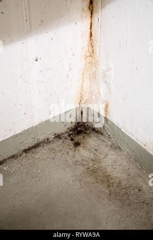 Ossidato e arrugginiti e di calcio e di muffe depositi dai danni causati dall'acqua in un concreto cantina in dettaglio Foto Stock