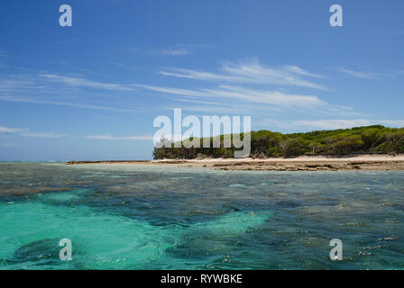 Lady Musgrave Island, Queensland, Australia. Undicesimo Dec, 2012. La Grande Barriera Corallina Foto Stock
