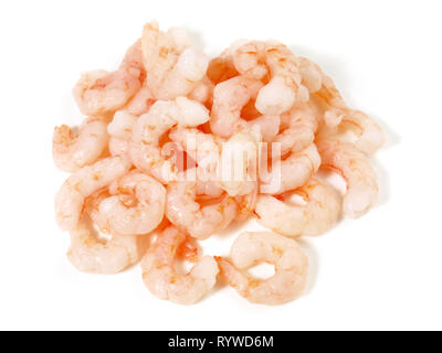 Gamberetti - Gamberetti grigi su sfondo bianco Foto Stock