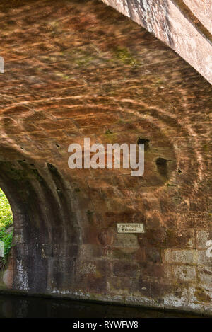 Riflessi di increspature dell'acqua sulla parte inferiore del ponte Crownhill su Great Western Canal a Halberton nel Devon, Inghilterra, Regno Unito Foto Stock