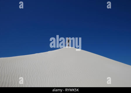 Lancelin, Australia occidentale, Australia. Xxi Mar, 2013. Lancelin dune di sabbia Foto Stock