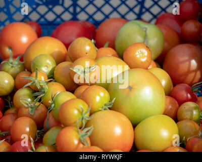 Frutti autunnali per la vendita in un mercato degli agricoltori a Wakefield Foto Stock