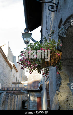 Passaggio di Santa Caterina nella Città Vecchia di Tallinn, Estonia Foto Stock