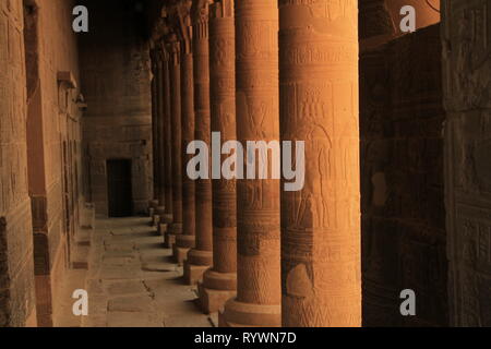 Illumina le colonne del tempio di Iside a Philae, Alto Egitto, Nord Africa e Medio Oriente Foto Stock