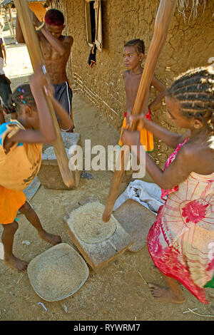 Ragazze macinazione di riso con un mortaio di legno, villaggio dal fiume Tsiribihina, Madagascar. Foto Stock