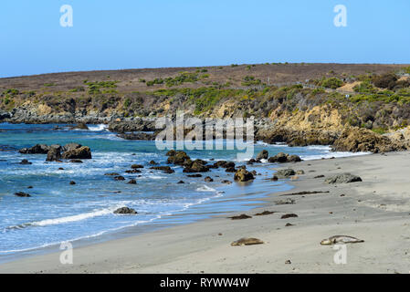 Piccola baia sulla costa Californiana che ospita alcune foche elefanti posa sulla spiaggia, oceano blu e rocce con scogliere al di là sotto cieli azzurri. Foto Stock