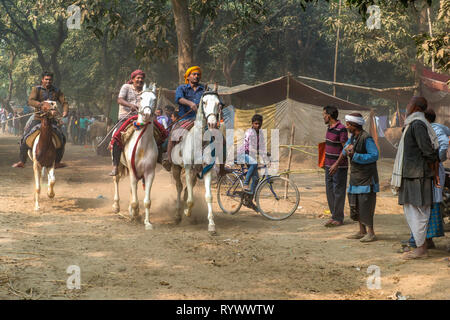 SONPUR, Bihar, in India-Novembre 30, 2015. Oggi la maggior parte dei cavalli a negoziati sul Sonepur cattler fiera. Prima di acquistare un giro di prova è obbligatoria Foto Stock