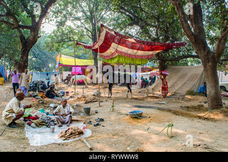 SONPUR, Bihar, in India-Novembre 30, 2015 i commercianti di cavalli nel loro accampamento provvisorio und i rami di un grande albero durante l annuale Sonepur fiera del bestiame w Foto Stock