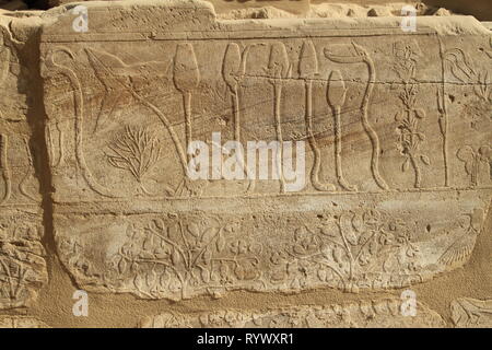 Rappresentazioni di piante e animali ha portato dalla Siria da Thutmosi III nel 1465 BC, Tempio di Karnak complessa, Luxor, Egitto Foto Stock