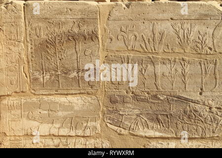 Rappresentazioni di piante e animali ha portato dalla Siria da Thutmosi III nel 1465 BC, Tempio di Karnak complessa, Luxor, Egitto Foto Stock