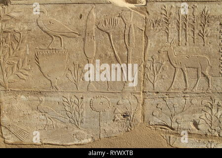 Rappresentazioni di piante e animali ha portato dalla Siria da Thutmosi III nel 1465 BC, Tempio di Karnak complessa, Luxor, Egitto Foto Stock