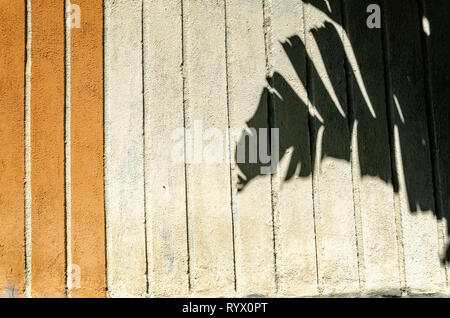 Close-up di muro di cemento con foglie di palma ombre sulla superficie. Foto Stock