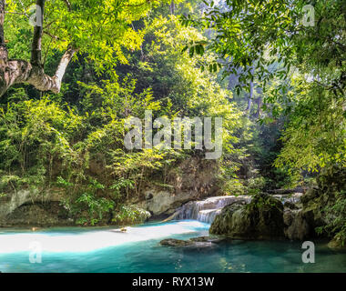 Bright foglie verdi e una filiale in alto a sinistra con chiara lattea acqua blu e una breve cascata nella fitta foresta del Parco Nazionale di Erawan in Th Foto Stock