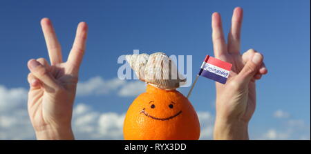 Frutta di arancia e Paesi Bassi mini bandiera con testo: KONINGSDAG - Kings giorno. Foto Stock