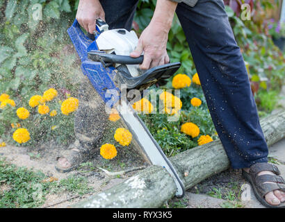 Immagine dell uomo con chainsaw segare log in foresta Foto Stock