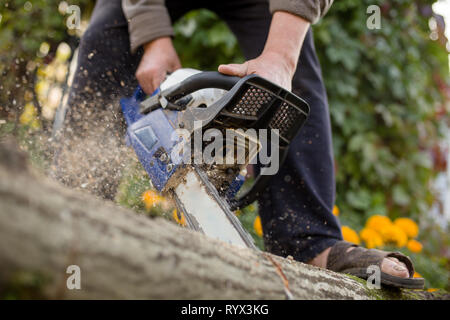 Immagine dell uomo con chainsaw segare log in foresta Foto Stock