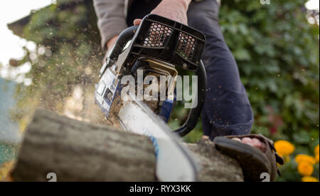 Immagine dell uomo con chainsaw segare log in foresta Foto Stock