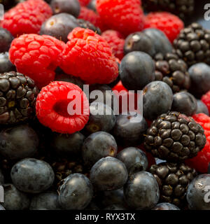 Mature freschi organici succosa mirtillo, lampone e blackberry , estate sfondo alimentare. Foto Stock