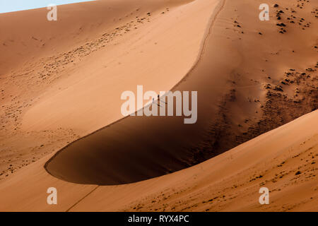 Vista aerea di escursionisti sul sentiero di cresta sul cerchio di alte dune di sabbia la curvatura come il vento di sabbia soffiati li ha fatti lungo lungo fa Foto Stock