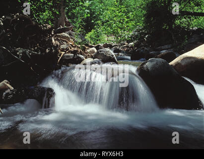 Stati Uniti d'America. In Arizona. Oak Creek Canyon. Cascata. Foto Stock